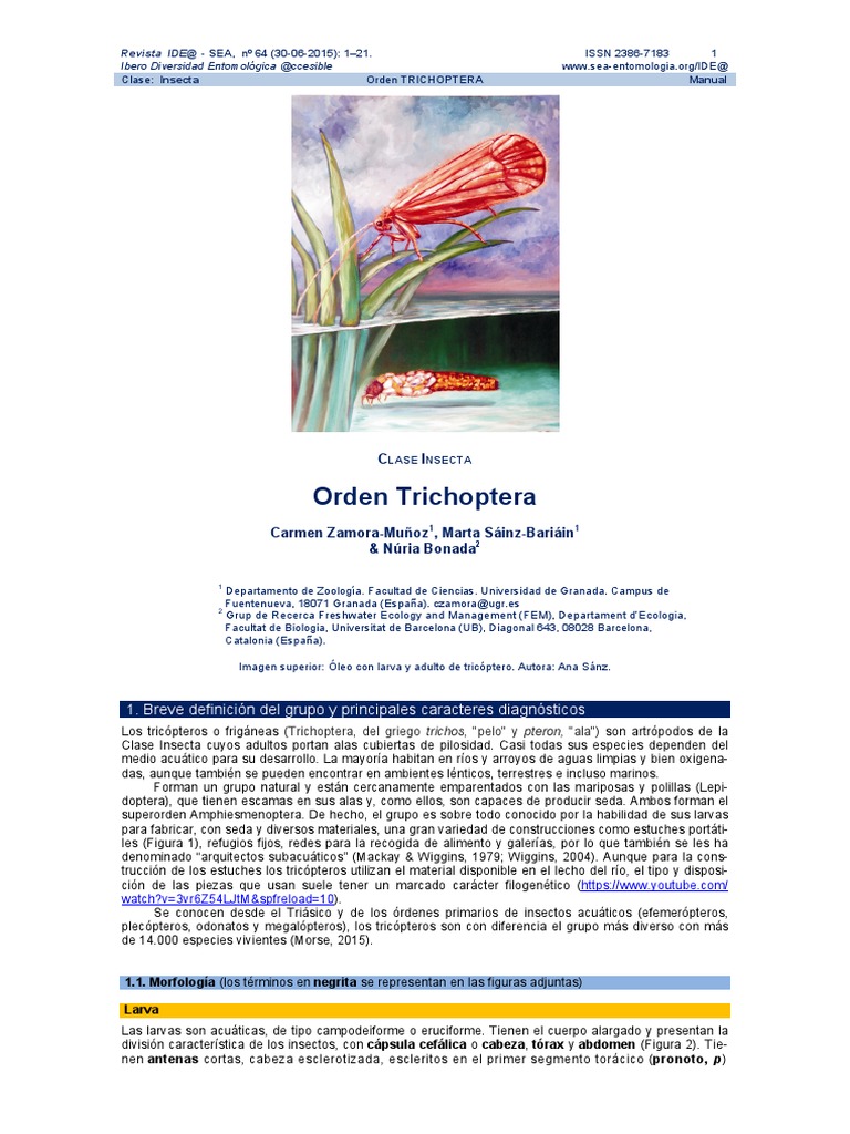Revista 64 PDF | PDF | Insectos | Lepidópteros