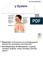 Respiratory System