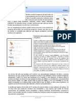 Sistema-de-escritura-y-reflexiones-ortograficas-fichas-docentes