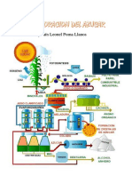 Elaboracion Del Azucar