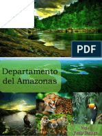 TRABAJO-YINA-DEPARTAMENTO-AMAZONAS-convertido.pdf