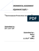 environmental law assignment (1).docx