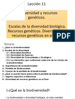 Lección 11 PDF