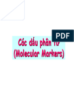 Lecture2_VN.pdf