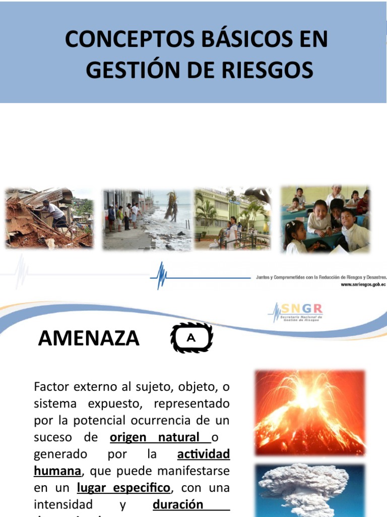 Conceptos Clave en Gestión de Riesgos | PDF | Vulnerabilidad | Riesgo