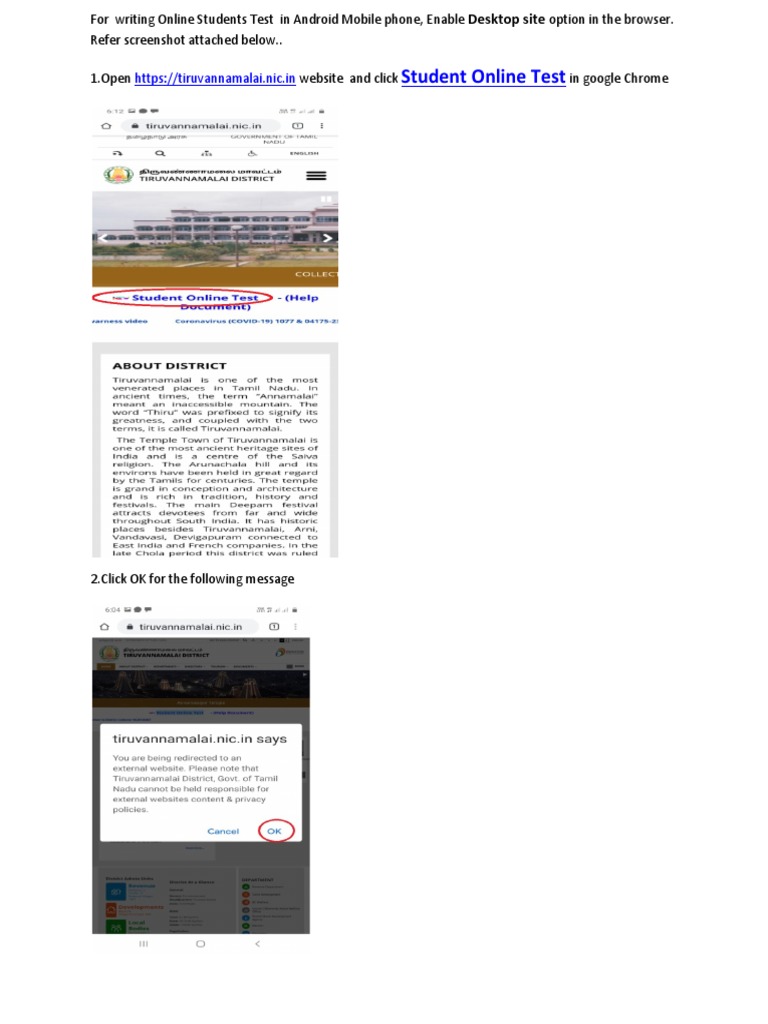Student Online Test | PDF