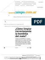 Como limpiar correctamente la bombilla del mate - Infocampo