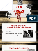 Ted Bundy, Perfil Criminal