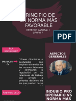Diapositiva - Norma Más Favorable
