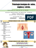 Patología Benigna de Vulva Vagina Cervix