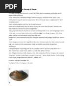 Download Perkembangbiakan Kerang Air Tawar by Anisa Tamam SN46192216 doc pdf