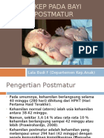 Askep Bayi Postmatur