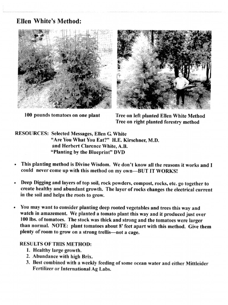 EGWTree Planting | PDF