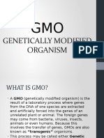 1 History of GMO