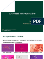 curs 11 C_Pomirleanu.pdf