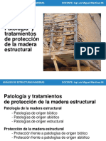 Patología y Tratamientos de Protección de La Madera Estructural