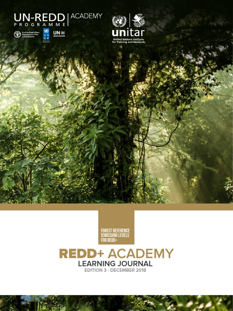 Phase - II - Topic - 2 - Forest Reference (Emission) Levels For REDD+ ...