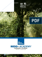 Phase - II - Topic - 3 - REDD+ Safeguards Under The UNFCCC