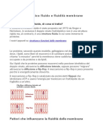 4-Modello A Mosaico Fluido e Fluidità Membrane