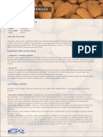 Amandier PDF