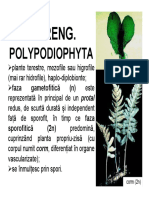 F Incr. Polypodiophyta PDF