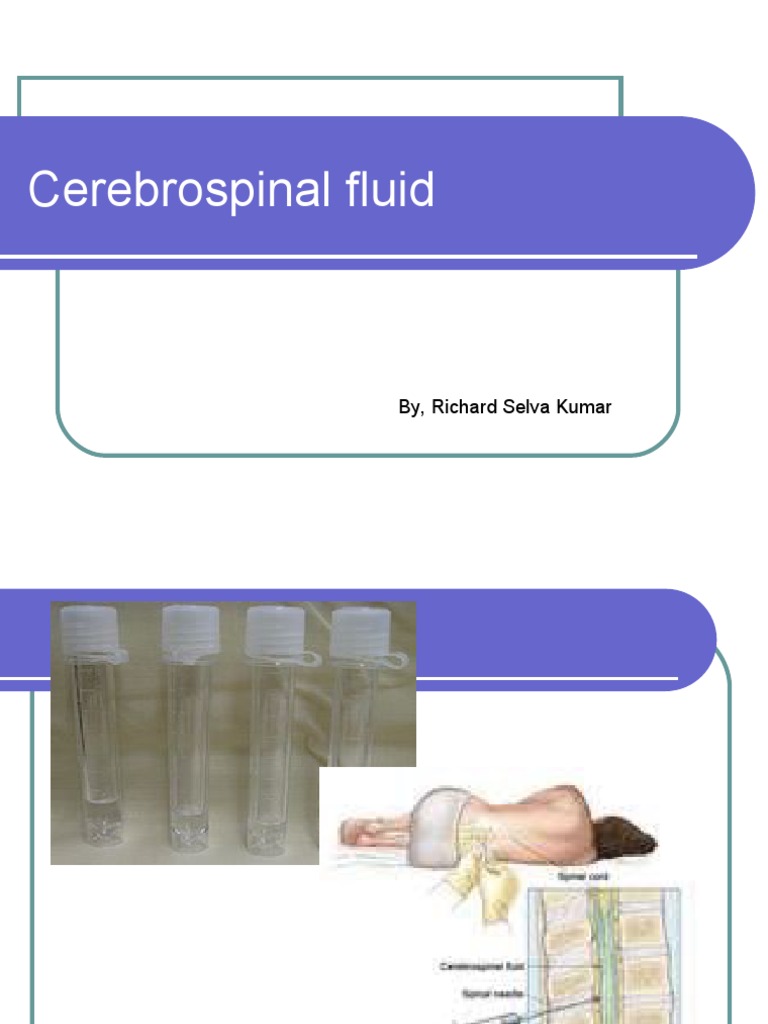 Blood Supply of Brain | PDF | Cerebrospinal Fluid | Nervous System