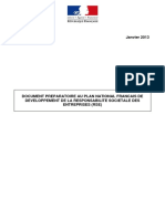 Document Preparatoire Plan RSE Francais Janvier 2013 PDF