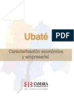 6233_caracteriz_empresarial_ubate.pdf