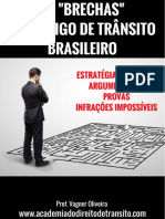 As Brechas do CTB.pdf-Rose Dias.pdf