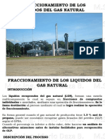 FRACCIONAMIENTO DEL GN (1).pdf