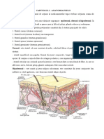 Medicatia Dermatologica