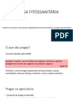 AULA II.pdf