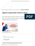 Agente Capacitador Externo (ACE) - Secretaría Del Trabajo y Previsión Social - Gobierno - Gob - MX PDF