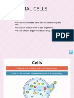Animal Cells Grade 7