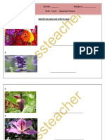 Flower 1 PDF