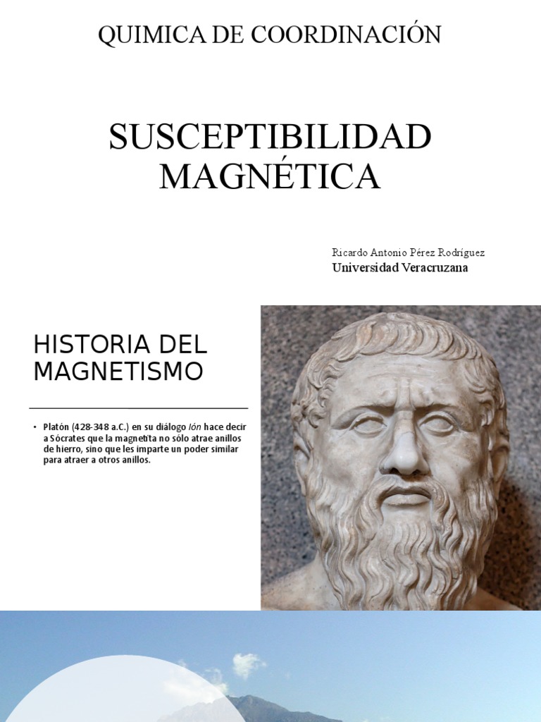 Susceptibilidad Magnética PDF Física de la Materia