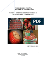 Manejo y Enfermedades de Postcosecha en PDF