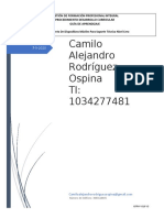 Camilo Alejandro Rodríguez - Actividad Inicial - Guia_de_Aprendizaje - Nivel_0