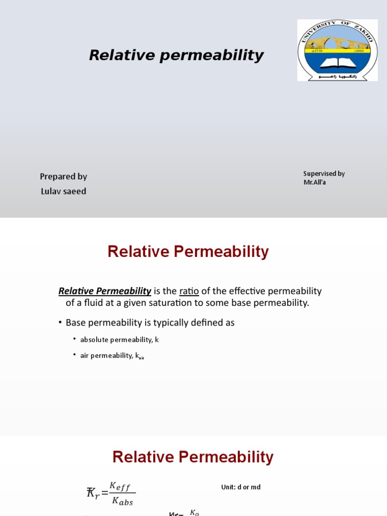 Understanding Relative Permeability Factors | PDF