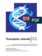 Transgenic animal