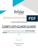 Elizabeth Judith Alejandro Alejandro: Certificado de Asistencia Y Aprovechamiento