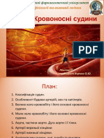 ЛЕКЦІЯ - 10 - Анатомія кровоносних судин. Судини великого та малого кола кровообігу.