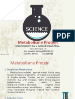 Kel 10 Metabolisme Protein
