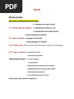 Protocole Stanish pour Tendon d'Achille | PDF