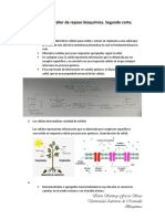Respuestas Taller de repaso bioquímica.pdf