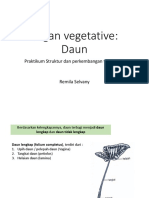 Organ Vegetatif Daun