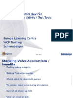 Flow Control Devices Standing Valves / Test Tools: Europe Learning Centre WCP Training Schlumberger