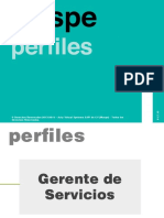 Funciones (Perfiles) - Team PostVenta 231116