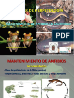 489-2019-03-27-Anfibios 1 PDF