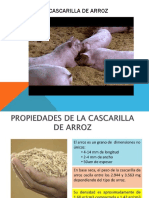 Power Point Exposicion Cascarilla de Arroz